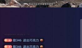 新闻爆料牧羊人视频播放,揭秘草原牧民生活